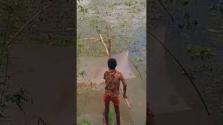 গ্রামের প্রাকৃতিক সৌন্দর্য ।viralvideo প্রাকৃতিকসৌন্দর্য bangladesh vtv [upl. by Aicelf]