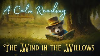 🦝 A Calm Reading of quotThe Wind in the Willowsquot  Full Audiobook for Sleep 😴 [upl. by Foley]