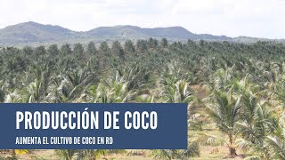 10 Usos Del Aceite De Coco [upl. by Ayikal]