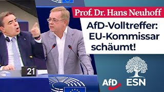 „Sie sind Europas Totengräber“ – Prof Dr Hans Neuhoff AfD [upl. by Yenobe661]