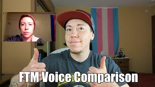 FTM Testosterone Voice Comparison [upl. by Erdreid]