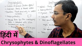 Kingdom Protista  Chrysophytes and Dinoflagellates in Hindi [upl. by Lezley245]