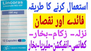 Lincoras capsule used Benefit and said affect lincomycin capsule uses in urdu and Hindi [upl. by Glick]