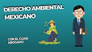 Conoce el DERECHO AMBIENTAL [upl. by Lipp11]