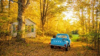 Fall Foliage in Vermont [upl. by Attenauq]