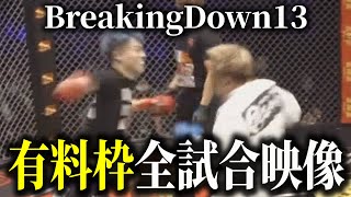 BreakingDown13全試合映像公開【ブレイキングダウン13】【朝倉未来】 [upl. by Adnanref198]