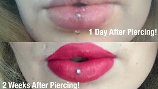 Vertical Labret Piercing  Swelling Pain Healing Time  Everything You Need To Know [upl. by Sal]