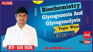 Reaction of Glycogenesis  Glycogenolysis Pathway  Reaction of Glycogenolysis  By GS Sir [upl. by Alleahcim]