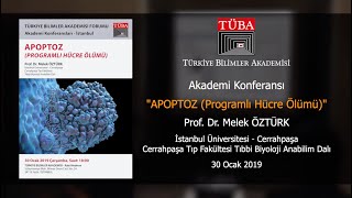 “Apoptoz Programlı Hücre Ölümü” [upl. by Ernest]