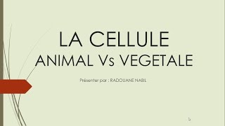 Biologie Cellulaire S1  la cellule végétale et la cellule animale الإختلاف بينهما [upl. by Aizitel]