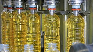 How Sunflower Oil Is Made  Amazing SUNFLOWER OIL Factory [upl. by Norret]