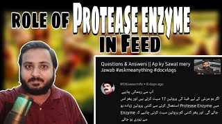 Feed Formulation my Protease Enzyme kia role play krta hy  Role of Protease Enzyme in Feed 🐓🐔🐤🥚 [upl. by Aynot]