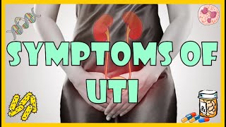 Urinary Tract Infection UTI Symptoms Causes amp Risk Factors [upl. by Esinal]