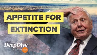 Why David Attenborough is worried about biodiversity loss [upl. by Adnaluoy]