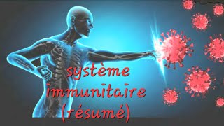 cours svt  système immunitaire en résumé  limmunité innée et limmunité adaptative [upl. by Simonne]