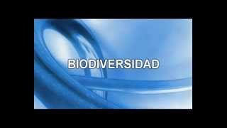 BIODIVERSIDAD EN EL PERU [upl. by Laszlo]