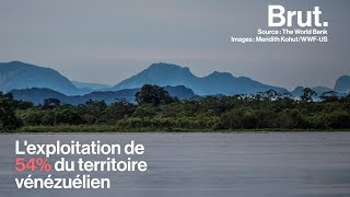 5 pays qui ont pris des mesures fortes pour la nature [upl. by Alimaj]