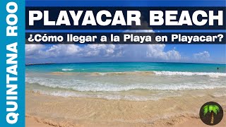 Visiting Playa del Carmen DONT Make These MISTAKES ⚠️ [upl. by Duahsar]