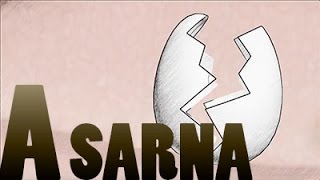 A HISTORIA DE UMA SARNA  ESCABIOSE [upl. by Tarr]