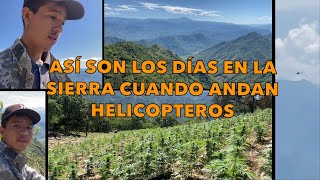 ANDABA TRABAJANDO CUANDO SALIERON HELICÓPTEROS POR LA SIERRA 🍀✌🏽🚁 [upl. by Haerb]