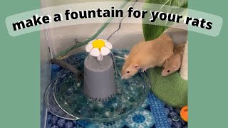 Make a fountain for your rats You wont regret it [upl. by Monsour591]