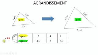 Réduction agrandissement  échelle [upl. by Hara545]