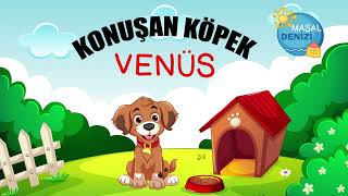 Konuşan Köpek Venüs  Masal Denizi [upl. by Rist]