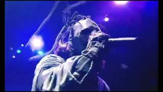 Slipknot  Liberate  Live Disasterpiece DVD 2002 HD [upl. by Nodarb392]