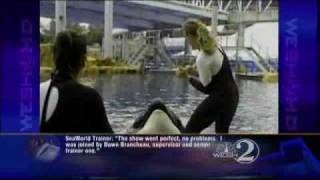 Report Details SeaWorld Trainers Last Moments [upl. by Anibla]