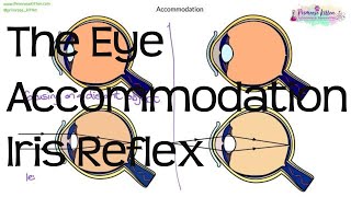 GCSE Biology Revision quotThe Eyequot Triple [upl. by Araz]