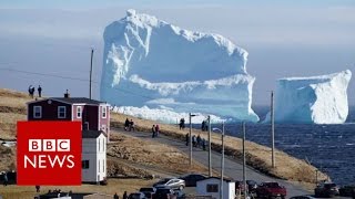 Huge iceberg looms over Canadas Newfoundland coast  BBC News [upl. by Phillada]