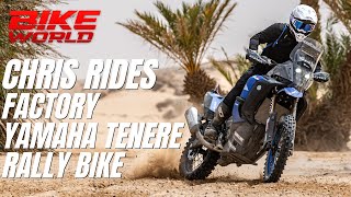 Flat out in the desert Chris rides a factory Yamaha Ténéré Rally bike with Pol Tarrés [upl. by Ethbinium]