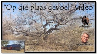 1 700 ha Steenbokpan Maroelaveld Marula veldt Wildplaas te koop Game farm for sale [upl. by Dorran]