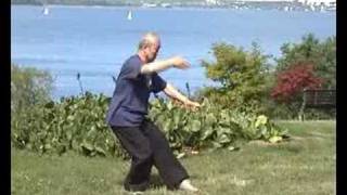 Taijiquan 88 forms 88式太极拳 12 [upl. by Graehme295]