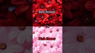 Red flower🌹❤️vs pink flower 🌷💖gown👗heels👠nail💅lipstick💄watch⌚ring💍cake🎂shortsviral [upl. by Ablasor10]