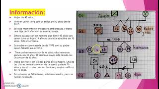 ELABORACIÓN DE UN GENOGRAMA [upl. by Hart510]