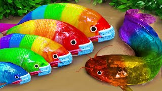 Stop Motion ASMR  Battle of fish  Catfish hunting colorful Koi Fish Eels [upl. by Kella]