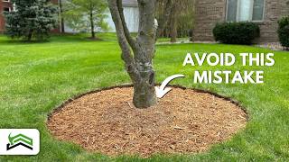 Tree Edging and Mulching Mastery  Tips for PicturePerfect Circles [upl. by Llibyc]