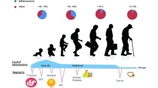 Prebiotics that Make You Young and Healthy health aging longevity prebiotics lactulose guts [upl. by Mandeville]