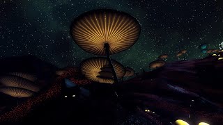 New Mushtopia  No Mans Sky Ambience 12 [upl. by Silvia309]