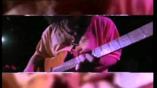 Eddie Van Halen  316 Guitar Solo Live 1993 [upl. by Paddy]