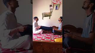 Wo mera nabi mera nabi hai naat 💝 shorts islamic animal [upl. by Drahsir]