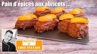 Pain dépices aux abricots  Recette par Chef Sylvain [upl. by Collen]