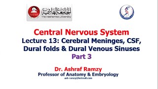 Lecture 13  Cerebral Meninges CSF Dural folds amp Dural Venous Sinuses Part 3  CNS [upl. by Hultin]