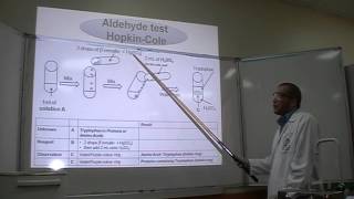 HopkinCole test Part 1 Identification of Amino Acids Tryptophan [upl. by Eniamej704]