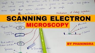 Scanning electron microscopy  SEM  Principle  mechanism [upl. by Rombert]