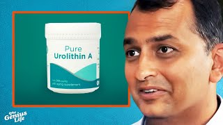 The INSANE Longevity Benefits of Urolithin A  Dr Anurag Singh [upl. by Bellew]