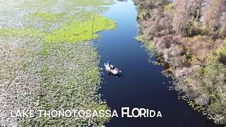 Aerial view Lake Thonotosassa Florida [upl. by Mcclure276]