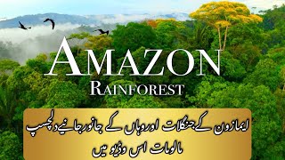 Amazon the rainforest in Hindi and Urdu pakistan pakistanivlogger youtubeshorts [upl. by September]