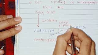 Glyoxylate Cycle Biochemistry [upl. by Peltz653]